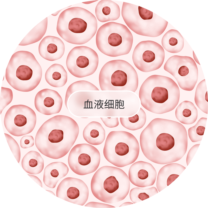 血液細胞