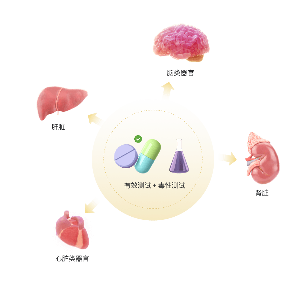 藥物篩選